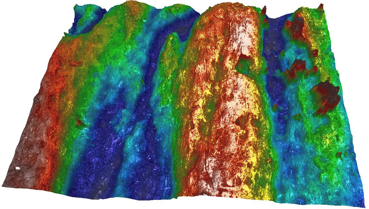 Paleonotology-Bone-Confocal